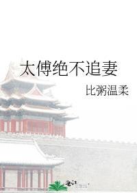 太傅绝不追妻又名叫什么名字