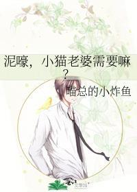 小猫老婆需要嘛?喵总的小炸鱼TXT