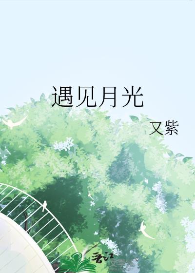 遇见光全文阅读