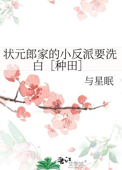 状元家的小夫郎