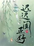 迟迟闺正好晋江
