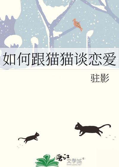 怎么和猫猫交流