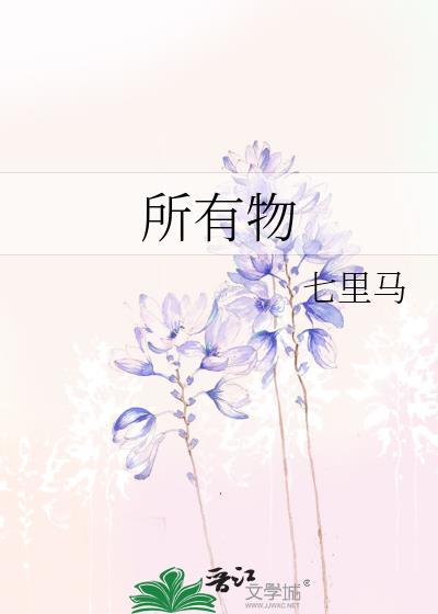 所有物用英语怎么说