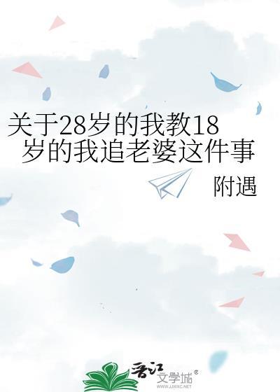 至28岁的我