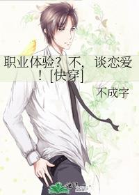 职业体验啥意思