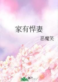 家有悍妻怎么办笔趣阁