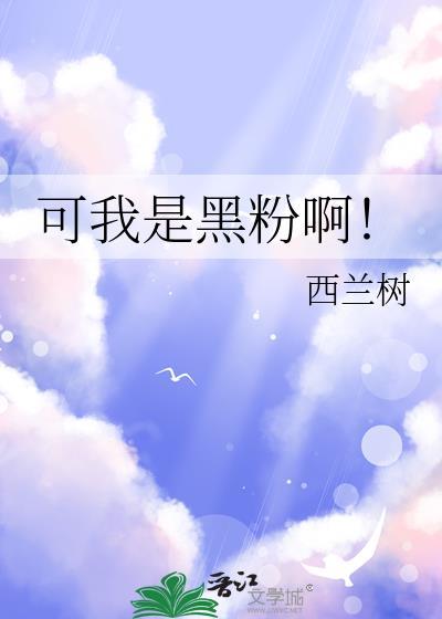 可我是黑粉啊作者西兰树