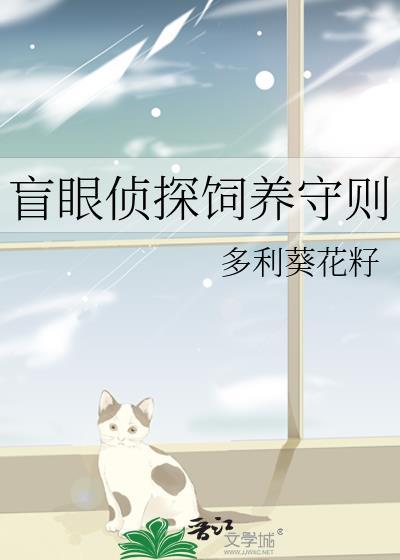 盲探探案