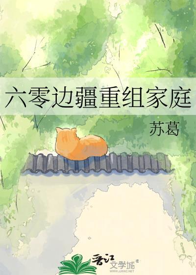 六零边疆重组家庭 作者苏葛