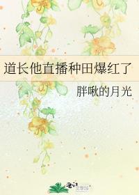 道长直播系统