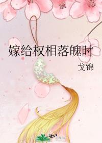 嫁给首辅落魄时免费阅读全文