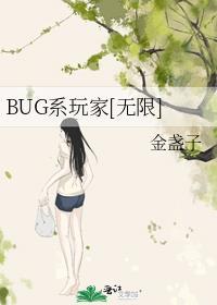bug游戏是什么意思