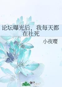 论坛曝光有用吗