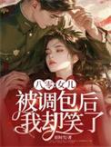 我却笑了书旗