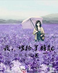 我嫁给了爱情