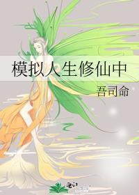 模拟人生 sm