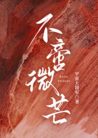 不啻微芒讲的什么