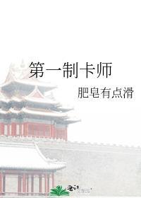 甲子亥星际第一制卡师