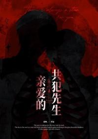 亲爱的共犯先生TXT