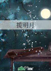 揽明月by归鸿落雪笔趣阁