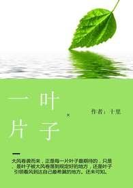一片子叶是什么意思