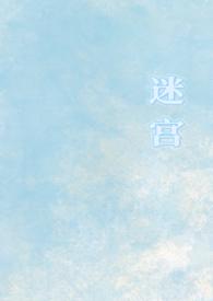 迷宫合集