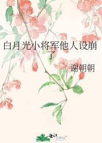 将军的白月光嫁人了