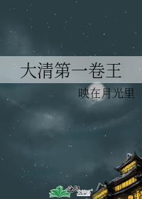 大清第一卷王番外免费阅读