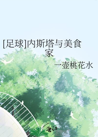 内斯塔集锦