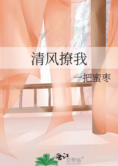 清风撩起素帘