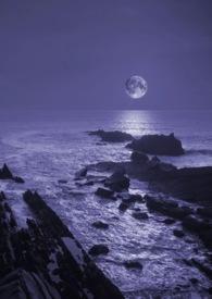 免费暗夜