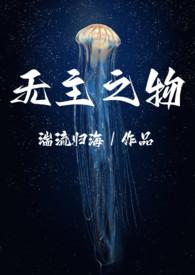 无主之物np