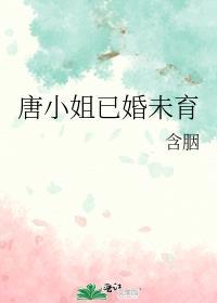 唐小姐已婚未育含胭讲的什么