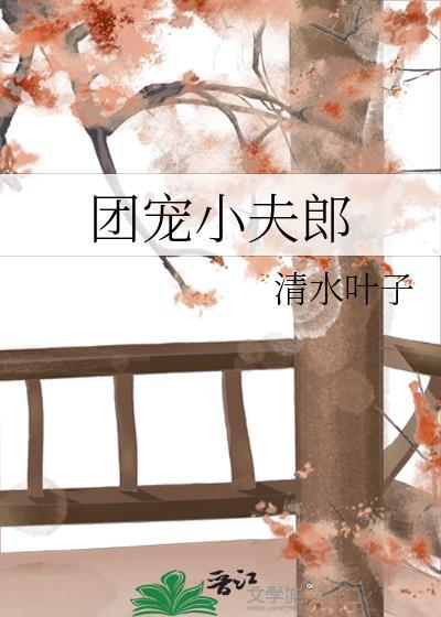 团宠小夫郎被王爷抢走了免费阅读