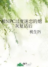 被npc过度迷恋的炮灰复活后晋江
