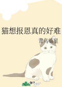 娱乐圈失控