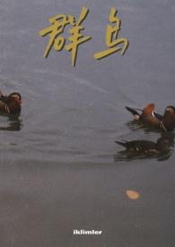 群岛是什么意思