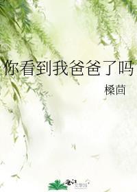 你看到我爸爸了吗英语