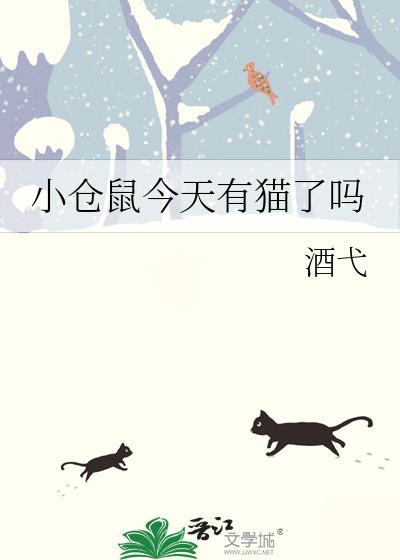 小仓鼠跑了