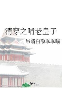 清穿之啃老皇子百度