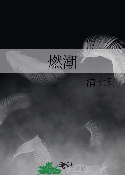 燃潮 清七对讲的什么