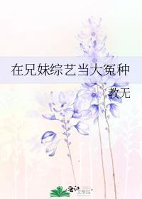 在兄妹综艺当大冤种免费阅读