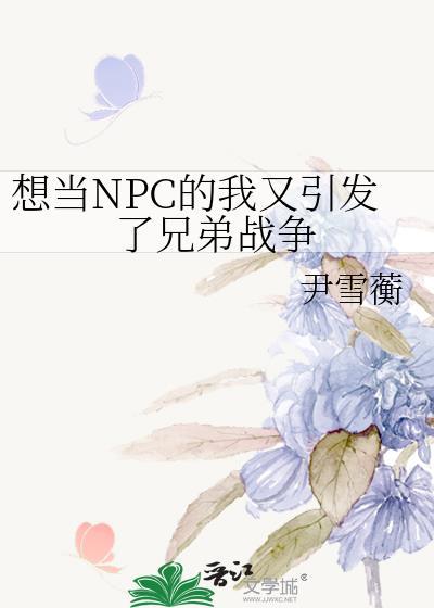 我当npc的那些年