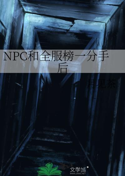npc和全服榜一分手后番外