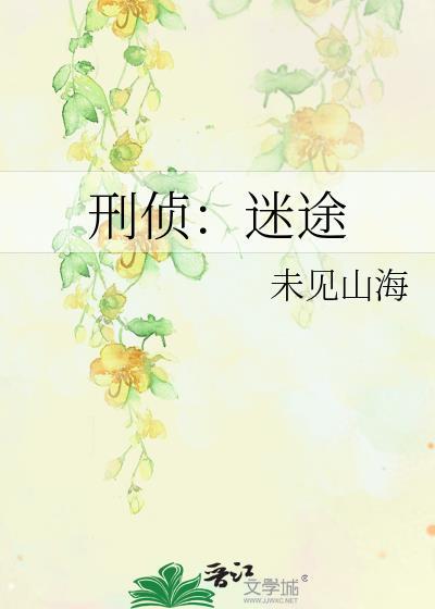 刑侦迷途未见山海TXT全文
