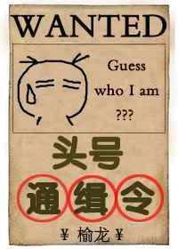 头号通缉令by
