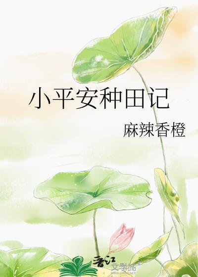 小平安农家院