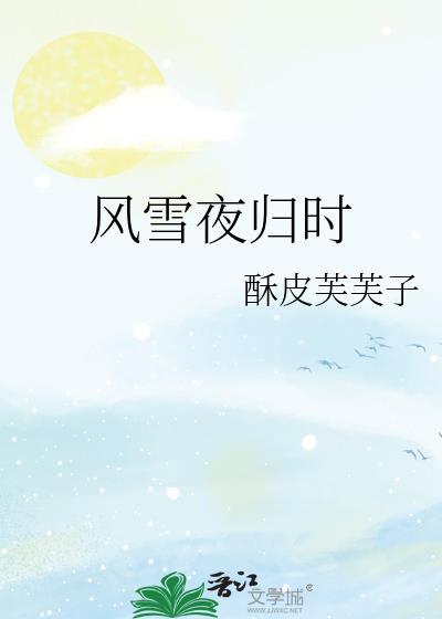 风雪夜归人意思好吗