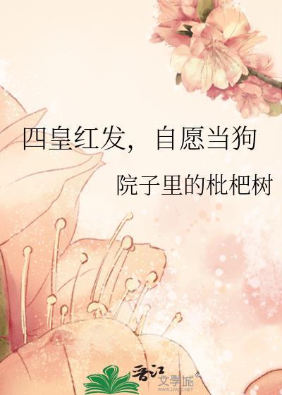 四皇红发船员
