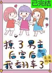 撩了男主后宫